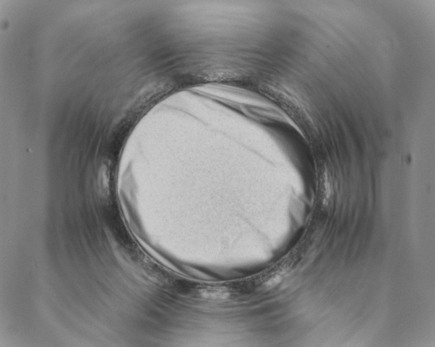X0000088170214200706121634