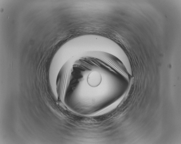 X0000088170215200706121634