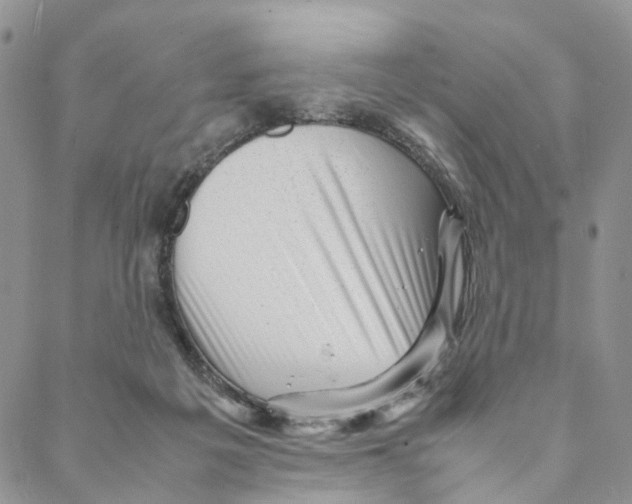 X0000088170217200706121634