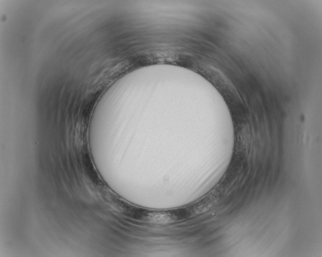 X0000088170218200706121634