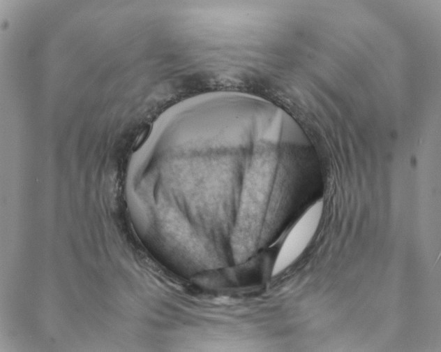 X0000088170223200706121634