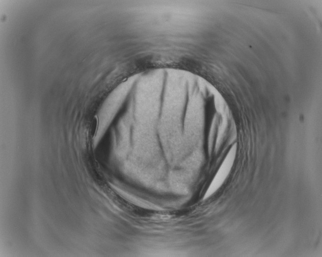 X0000088170227200706121634