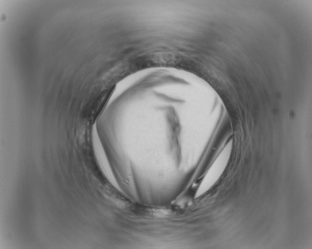 X0000088170233200706121634