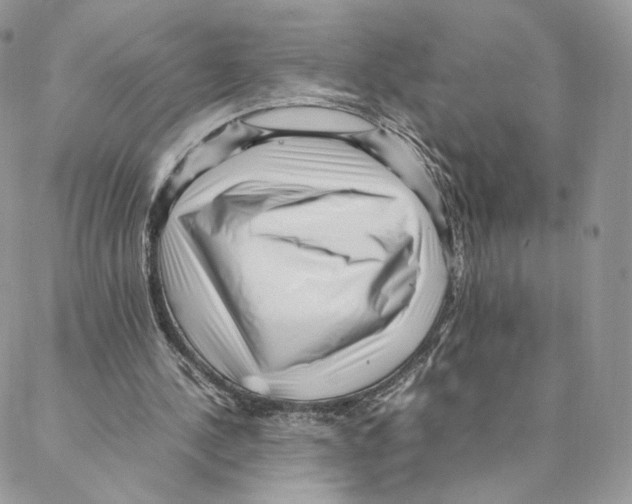 X0000088170244200706121633