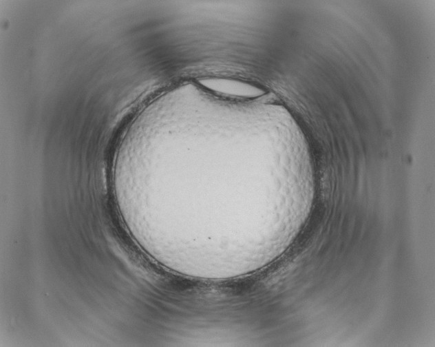 X0000088170254200706121633
