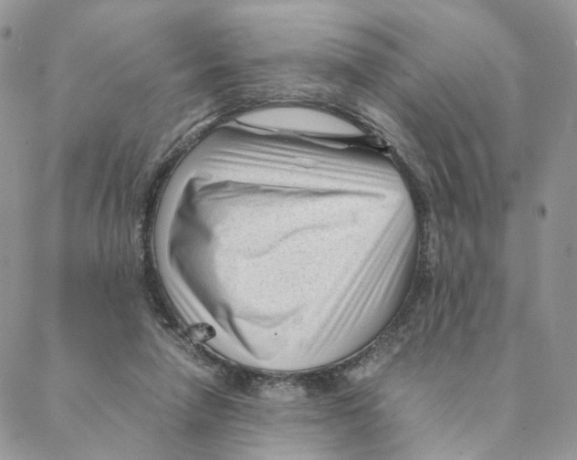 X0000088170258200706121633