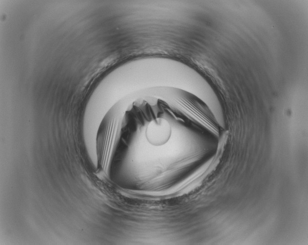 X0000088170260200706121633