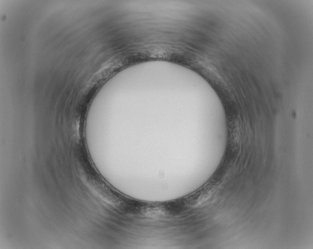 X0000088170262200706121633