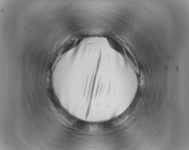 X0000088170264200706121633