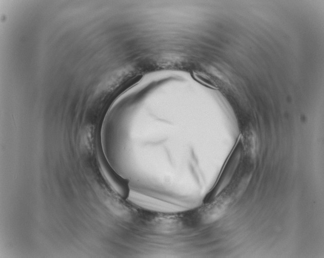 X0000088170280200706121634