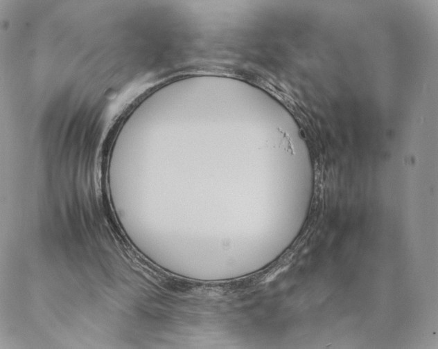 X0000088170294200706121633