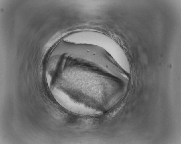 X0000088170295200706121633