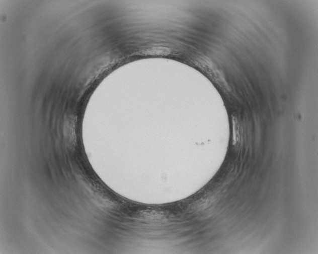 X0000088170300200706121633