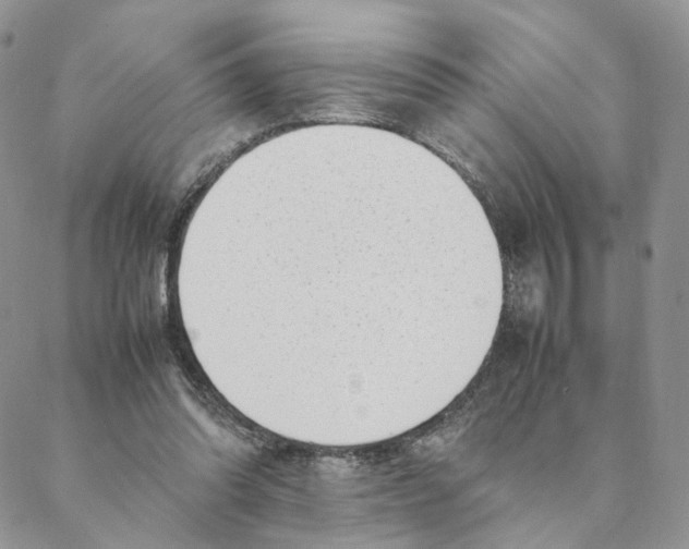 X0000088170302200706121633