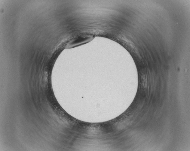 X0000088170308200706121633