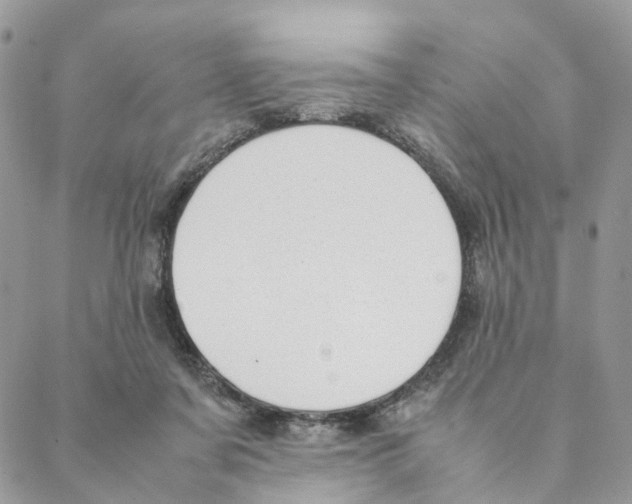 X0000088170311200706121633