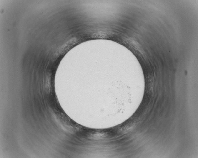 X0000088170312200706121632