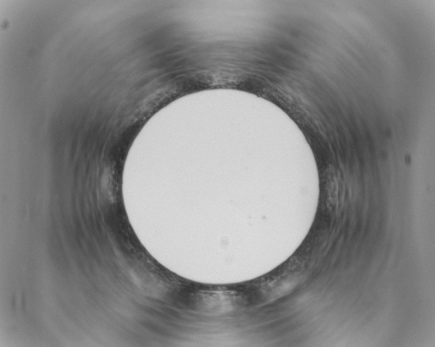X0000088170316200706121632