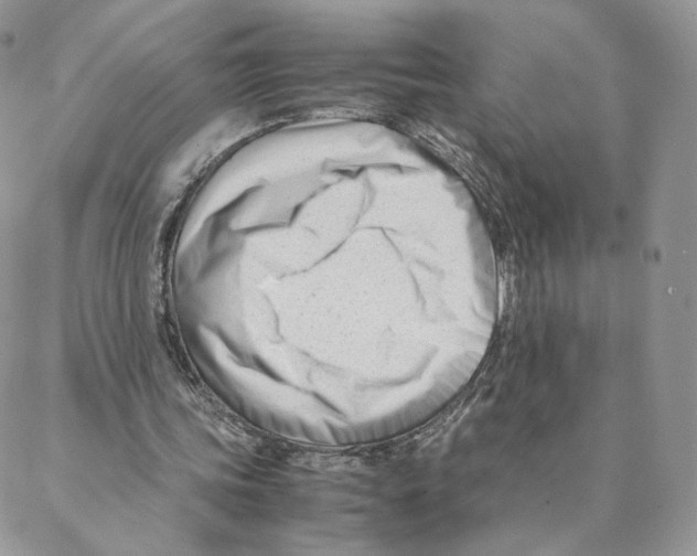 X0000088170339200706121631