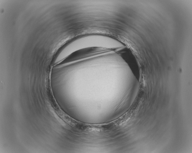 X0000088170352200706121632