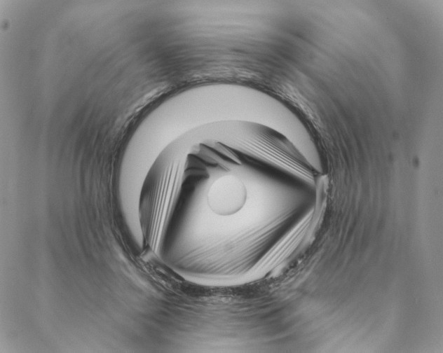 X0000088170356200706121632