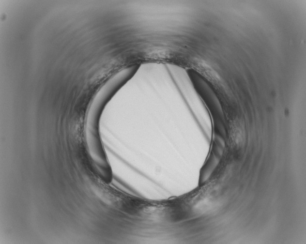 X0000088170364200706121632