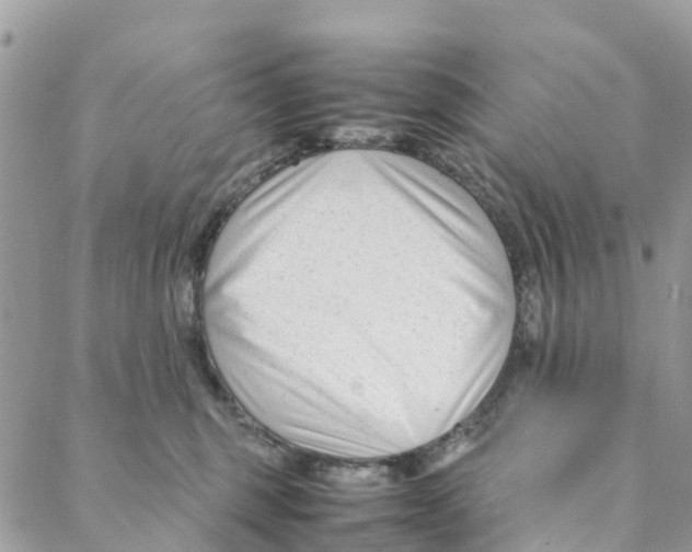 X0000088170375200706121632