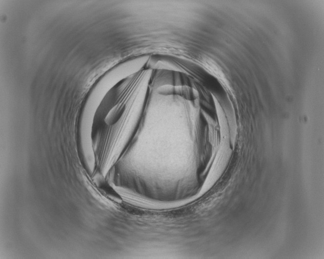 X0000088170389200706121631