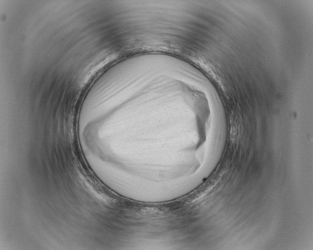 X0000088170390200706121631