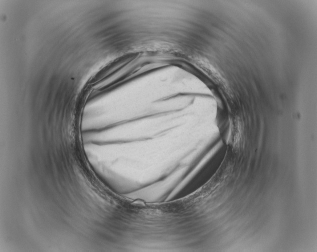 X0000088170392200706121631
