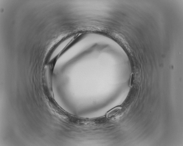 X0000088170395200706121631