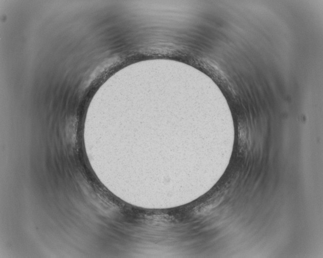 X0000088170396200706121631