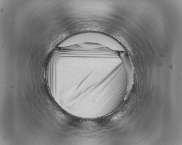 X0000088170397200706121631