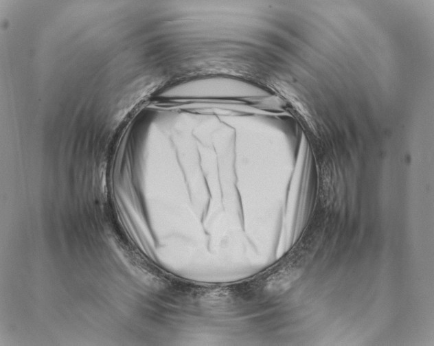 X0000088170398200706121631