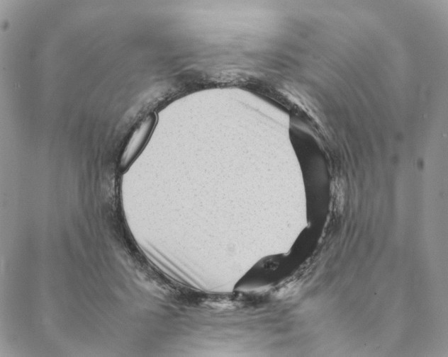 X0000088170407200706121631