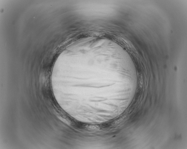 X0000088170409200706121631