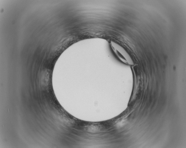 X0000088170412200706121631