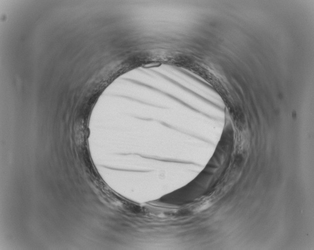 X0000088170413200706121631