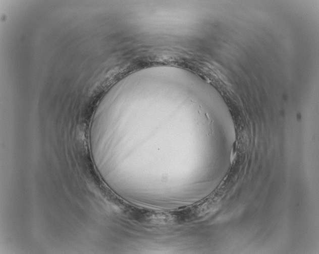 X0000088170415200706121631