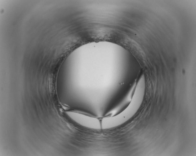 X0000088170416200706121631