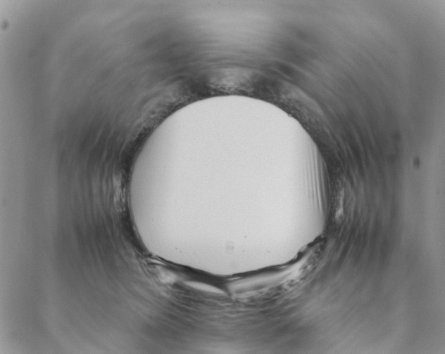 X0000088170420200706121631
