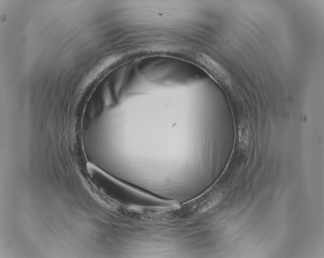 X0000088170436200706121630