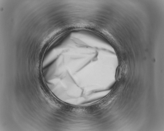 X0000088170440200706121630