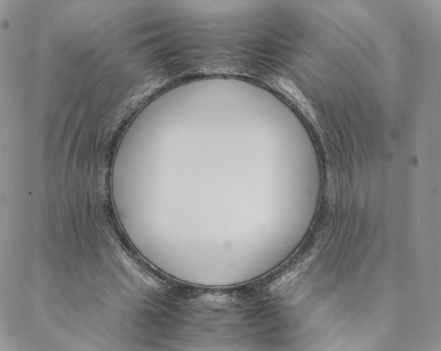 X0000088170441200706121630