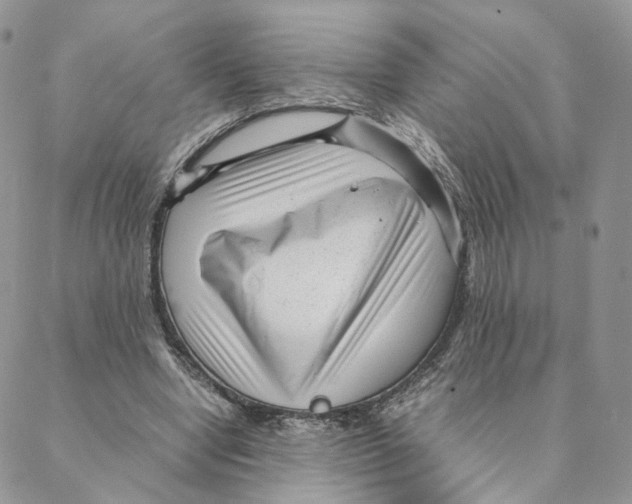 X0000088170442200706121630
