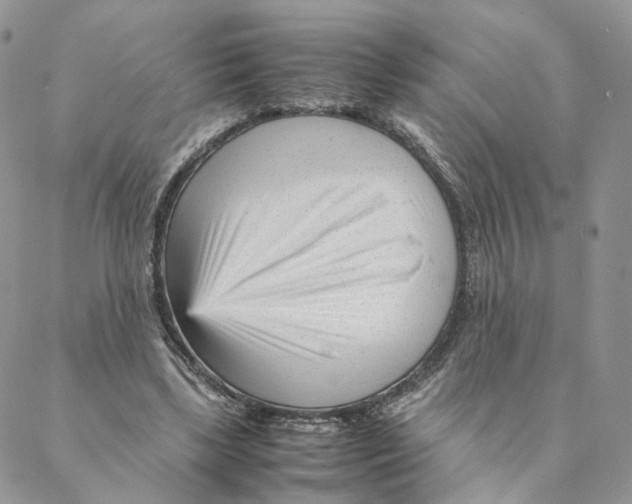 X0000088170443200706121630