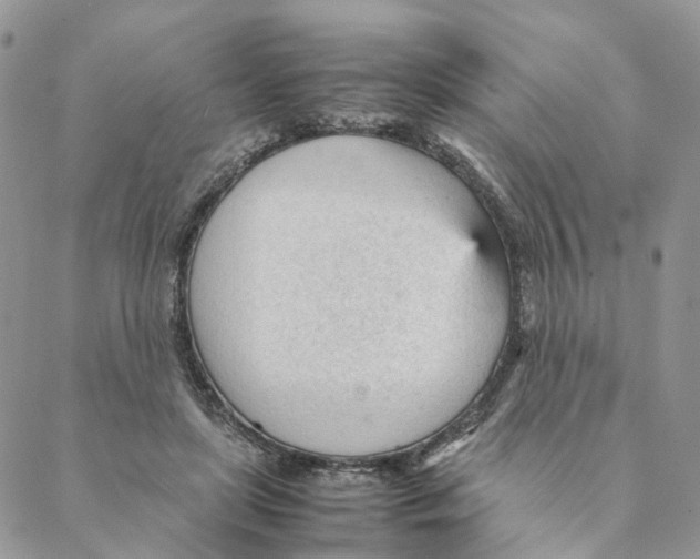 X0000088170451200706121630