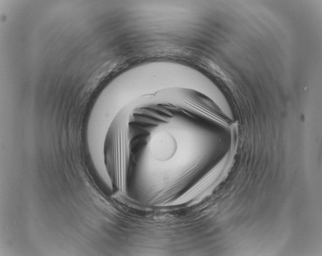 X0000088170452200706121630