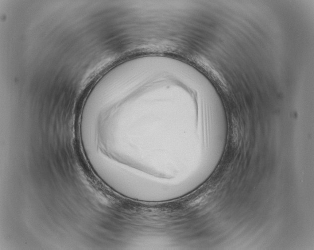 X0000088170486200706121630