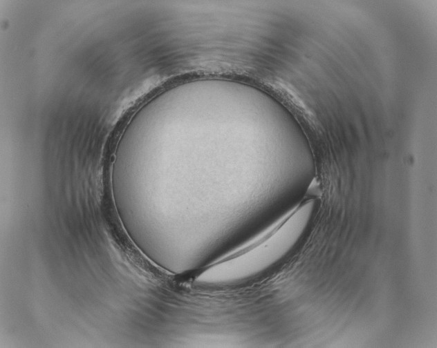 X0000088170488200706121630